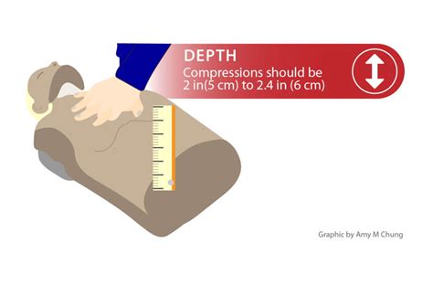 chest compression depth theory test|CPR BLS: Module 3 Flashcards .